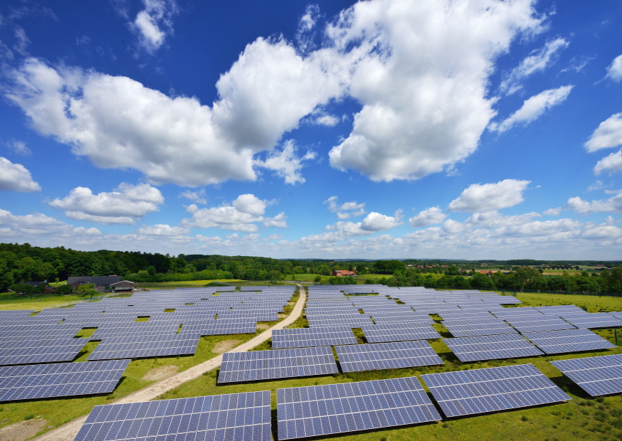 Viele PV-Anlagen auf einer Wiese
